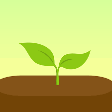 Forest App